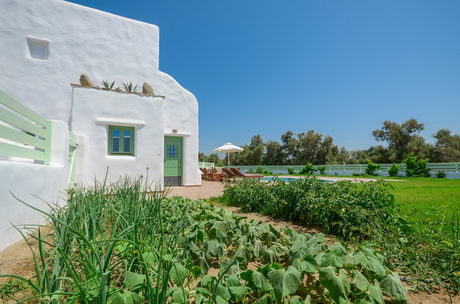 My Villas in Naxos Greece